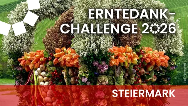 Von klassischen Getreideformen bis hin zu Verzierungen mit Kürbissen, Kastanien und Trauben: In der Steiermark unterscheidet sich die Gestaltung der Erntekrone regional. Diese Erntekrone der Pfarre Gamlitz erreichte bei der Challenge im Vorjahr den dritten Platz. | Foto: Pfarre Gamlitz