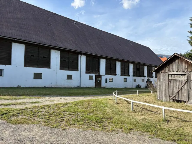 Foto: Pschaider