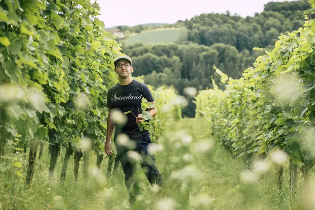 Vom historischen Hof bis zum fertigen Wein: Am Herrenhof Lamprecht wird das Arbeiten mit der Natur zu einem stimmigen Gesamterlebnis. | Foto: Bernhard Bergmann