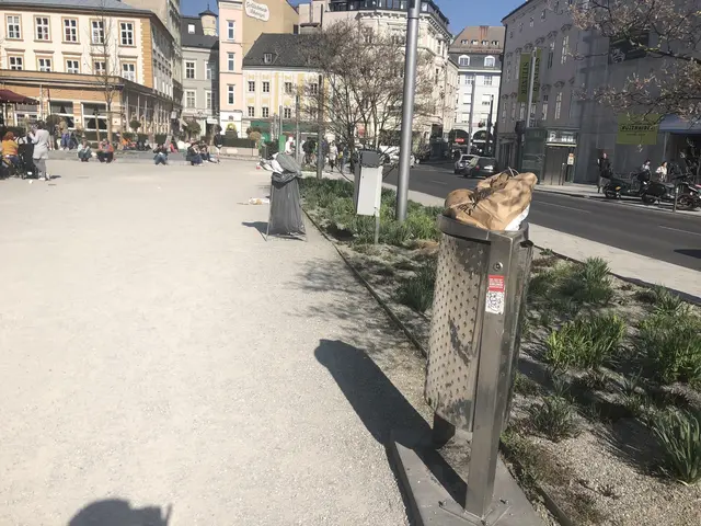 Ein häufiges Bild: Übervolle Mistkübel an stark frequentierten Plätzen, wie hier an der Promenade. | Foto: MeinBezirk/Archiv