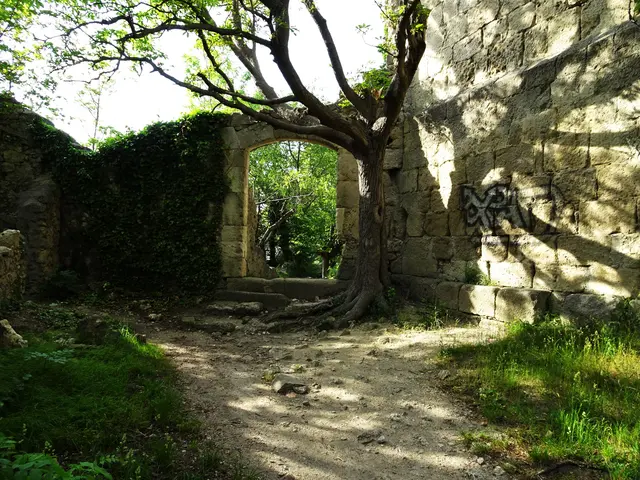 Wo einst die Gemächer der Burgherrschaft waren, ... | Foto: © Silvia Plischek