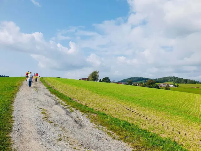 Auf Wald-, Feld- und Wiesenwegen geht es durch das Gemeindegebiet von Gutau. | Foto: DSG Union Gutau