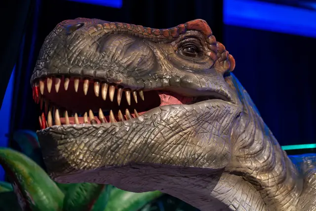 Dinosaurier erobern die Bühne in der Messehalle in Freistadt. | Foto: Brumbach