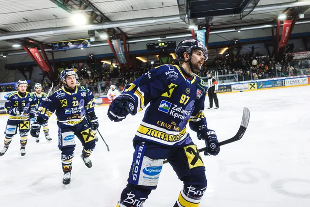 Symbolfoto Zeller Eisbären | Foto: EKZ/Radlwimmer