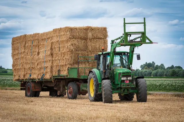 Im Grünland fehlt laut Landwirtschaftsministerium rund ein Drittel der Erträge. Zahlreiche Betriebe mussten deshalb auf ihre Winterfutterreserven zurückgreifen oder Futtermittel zukaufen. (Symbolbild) | Foto: pexels / Fred dendoktoor