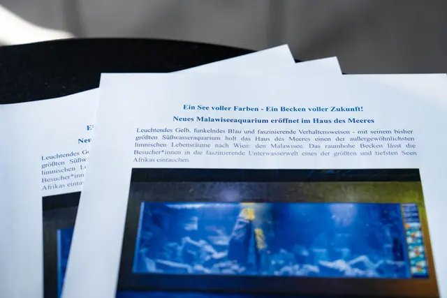 Foto: Sade Jerabek/MeinBezirk