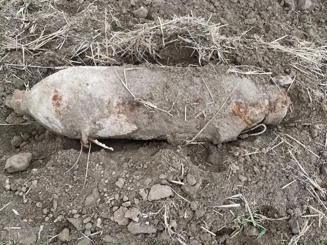 Weltkriegs-Fliegerbombe in der Lobau gefunden und erfolgreich entschärft worden. | Foto: LPD Wien