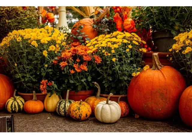 Beim Herbst.Genuss Markt in Jenbach stehen regionale Produkte, Musik und Begegnung im Mittelpunkt. | Foto: Herbst.Genuss.Markt