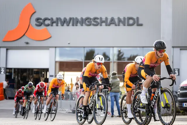 Schwingshandl