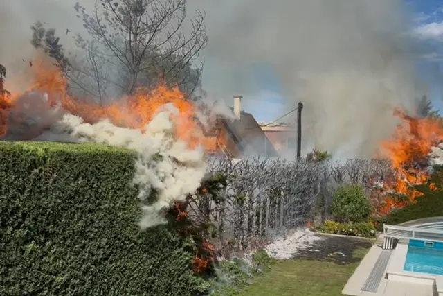Vor dem Eintreffen der Feuerwehr stand die Hecke in Vollbrand.  | Foto: FF Leopoldsdorf