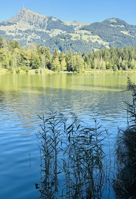 Foto: Klaus Kogler