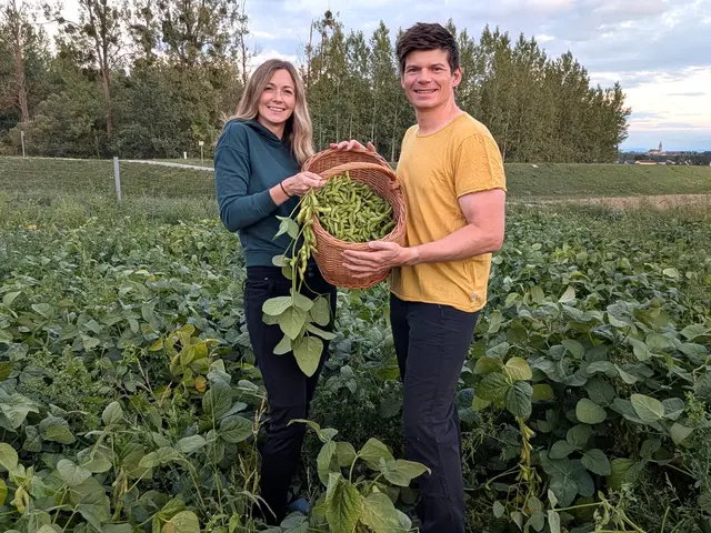 Andrea und Bernhard Froschauer am Feld in Hörstorf mit Edamame, einer jungen Sojabohne.  | Foto: Andrea Froschauer