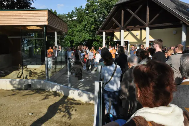 Trotz anhaltender Hitze wurde der Zoo Linz im Sommer gut besucht. | Foto: Zoo Linz