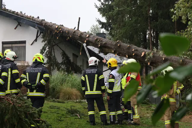 Die große Fichte wurde durch das Unwetter entwurzelt. | Foto: laumat.at/Matthias Lauber