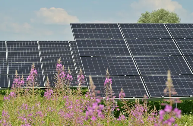 Investitionen in Millionenhöhe hätte das Start-up benötigt, um Solarpaneele anzukaufen. | Foto: unsplash.com/@johnmcclane/Andres Siimon