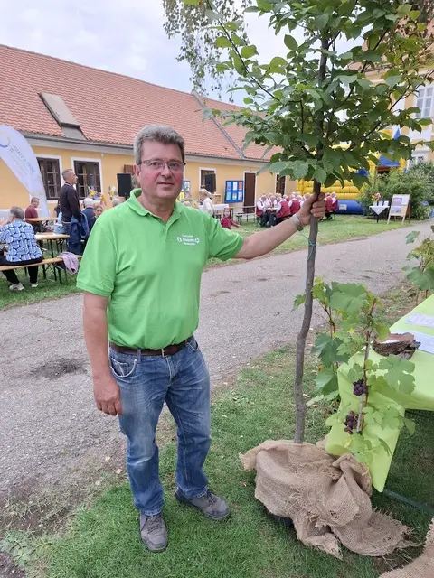 Für Gärtnermeister Erich Hummel sind Bäume Klimaanlagen. | Foto: Josef Messirek