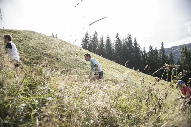 Montafoner Berglauf
Der Montafoner Berglauf führt über schmale Pfade bis zum Maisäß Tafamunt. | Foto: Patrick Säly Photography - Montafon Tourismus GmbH, Schruns