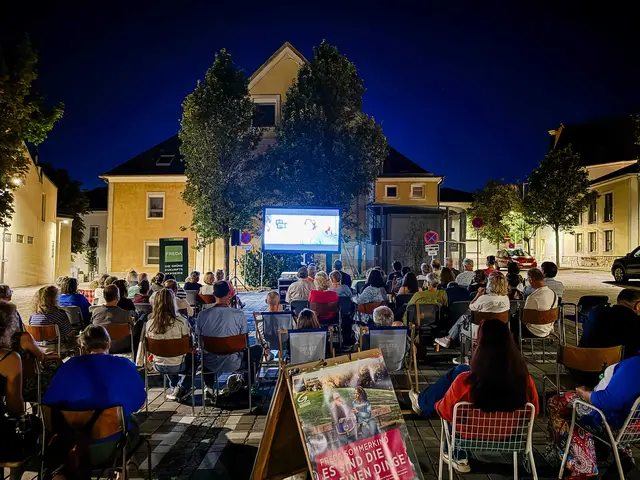 Rund 80 Besucherinnen und Besucher nahmen am Sommerkino am Anger teil. | Foto: Caterina Hoffmann