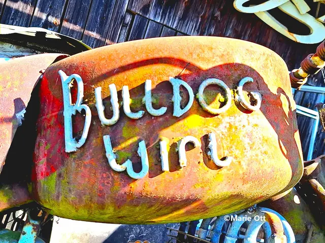 Flohmarkt, BULLDOGWirt, Hof bei Straden, Südoststeiermark