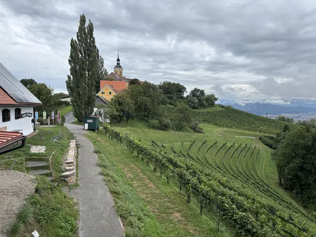 Foto: MeinBezirk/W. Fischer