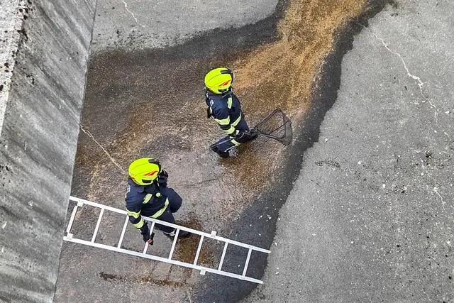 Aus einem tiefen Schacht wurde der Biber gerettet. | Foto: FF Bad Goisern