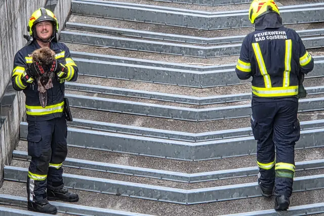 Foto: FF Bad Goisern