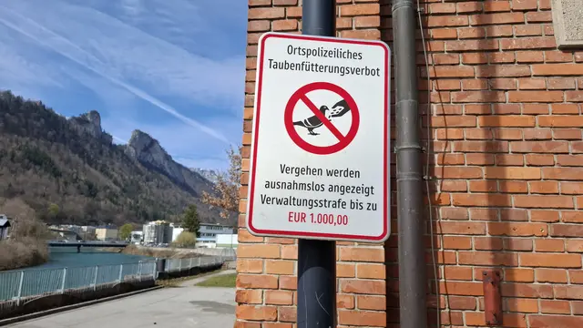 Auf das Fütterungsverbot wird mehrmals hingewiesen. | Foto: Josef Wind