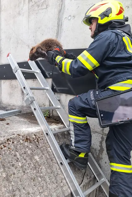 Foto: FF Bad Goisern
