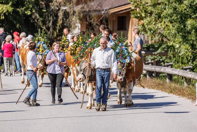 Foto: Alpbachtal Tourismus 