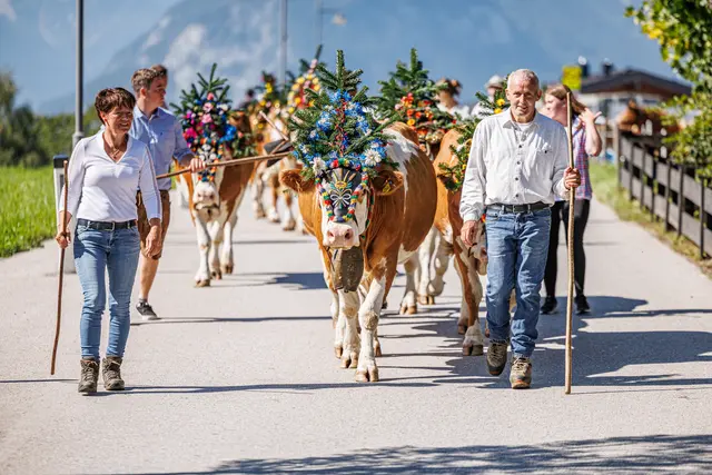 Foto: Alpbachtal Tourismus 