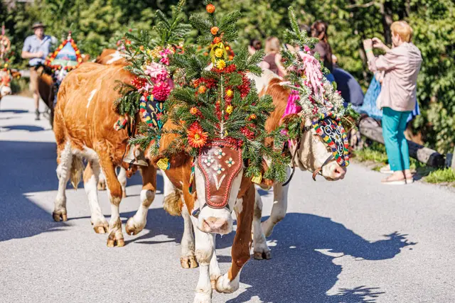 Foto: Alpbachtal Tourismus 
