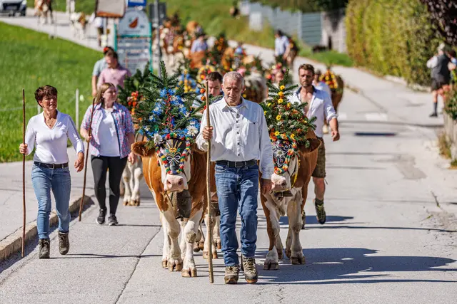Foto: Alpbachtal Tourismus 