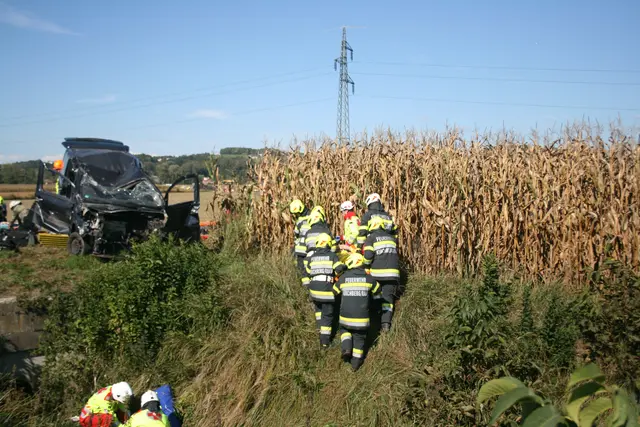 Einsatzkräfte im Maisfeld