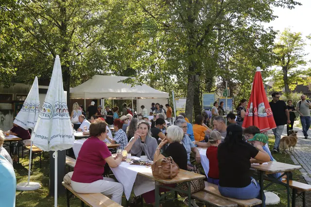 Foto: Walter Kellner