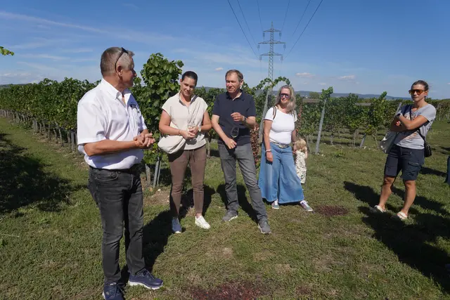 Im Weingarten wurden alle Fragen der Gäste rund um die Weinlese beantwortet. | Foto: Jennifer Flechl / MeinBezirk
