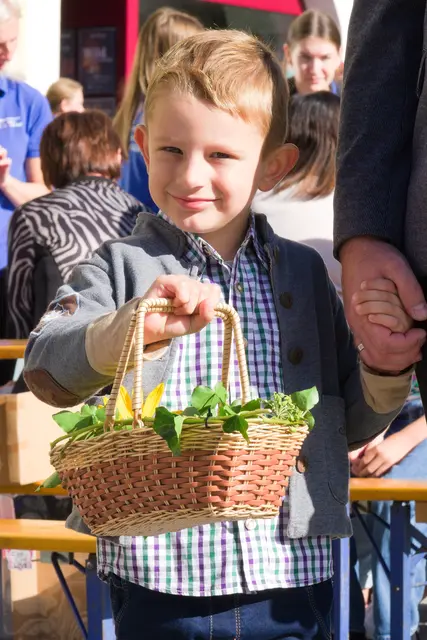 Foto: Alfred Hofer