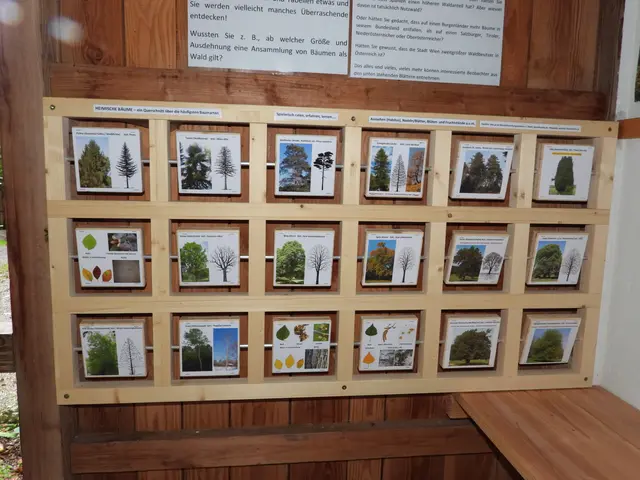 Foto: Zinterhof