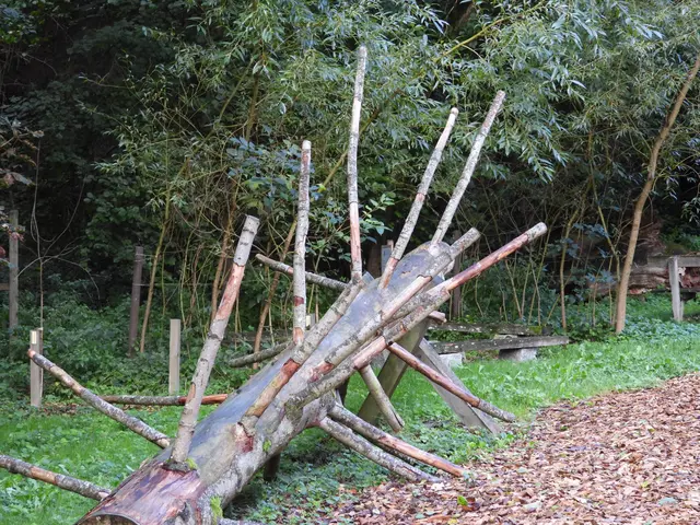 Holzwelten Pabneukirchen. Im ganzen Jahr gratis begehbar. | Foto: Zinterhof