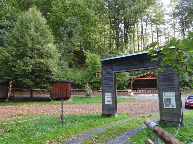 Holzwelten Pabneukirchen. Im ganzen Jahr gratis begehbar. | Foto: Zinterhof