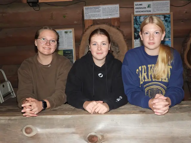 Zusammenarbeit der Holzwelten Pabneukirchen mit der Anrei-Lehrwerkstatt. | Foto: Zinterhof