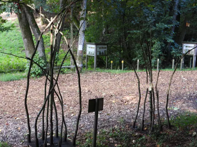 Holzwelten Pabneukirchen. Im ganzen Jahr gratis begehbar. | Foto: Zinterhof