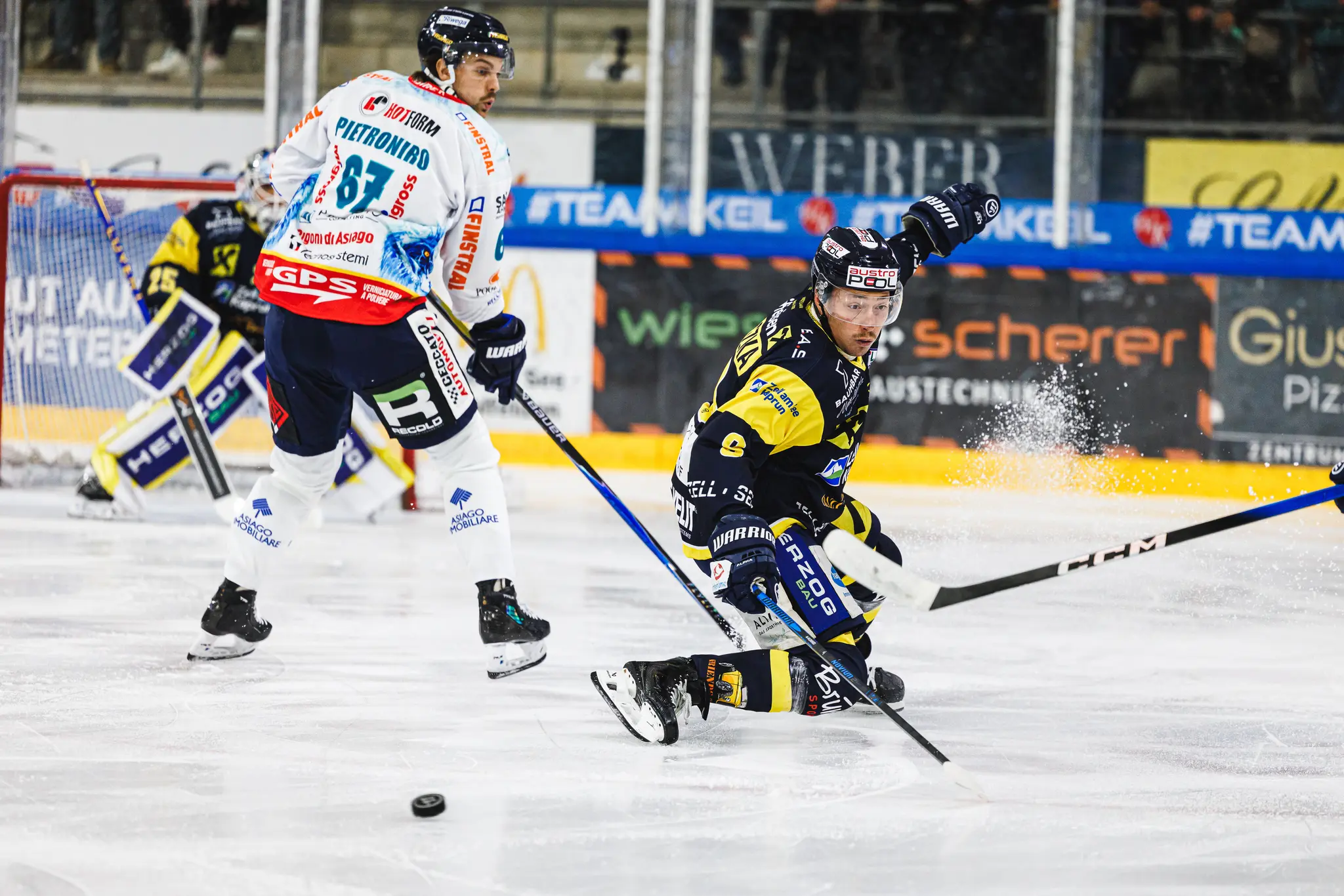 Alps Hockey League: Zell am See Polar Bears lose to Asiago in championship ...