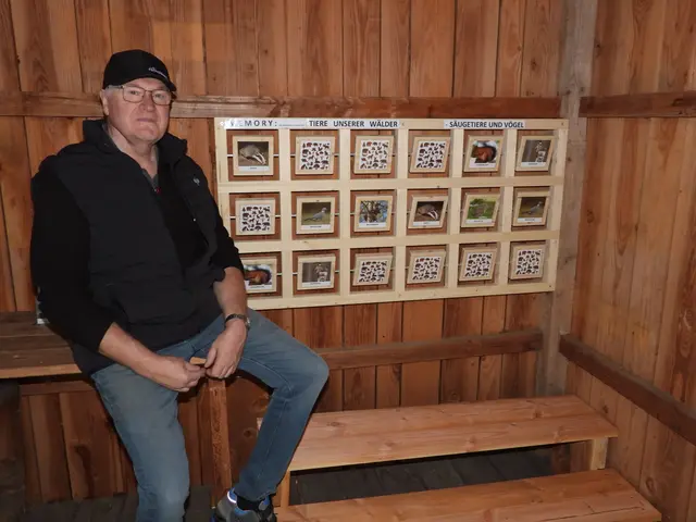 Zusammenarbeit der Holzwelten Pabneukirchen mit der Anrei-Lehrwerkstatt. | Foto: Zinterhof