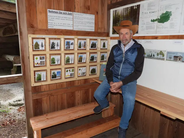Zusammenarbeit der Holzwelten Pabneukirchen mit der Anrei-Lehrwerkstatt. | Foto: Zinterhof