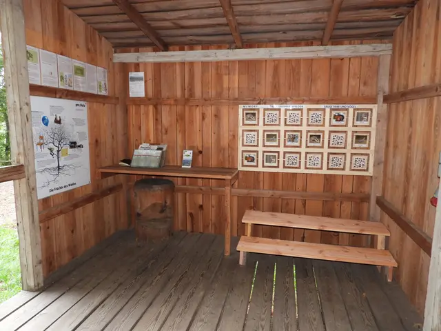 Holzwelten Pabneukirchen. Im ganzen Jahr gratis begehbar. | Foto: Zinterhof