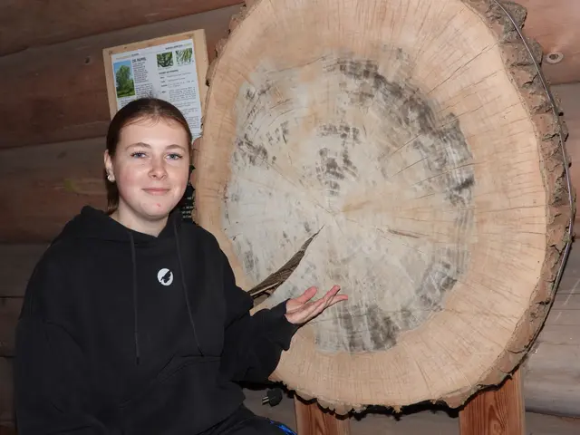 Zusammenarbeit der Holzwelten Pabneukirchen mit der Anrei-Lehrwerkstatt. | Foto: Zinterhof