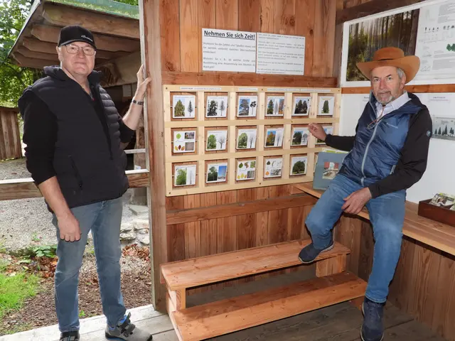 Zusammenarbeit der Holzwelten Pabneukirchen mit der Anrei-Lehrwerkstatt. | Foto: Zinterhof
