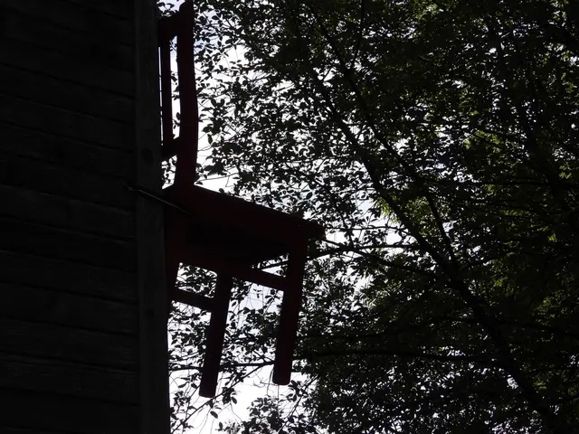 Holzwelten Pabneukirchen. Im ganzen Jahr gratis begehbar. | Foto: Zinterhof