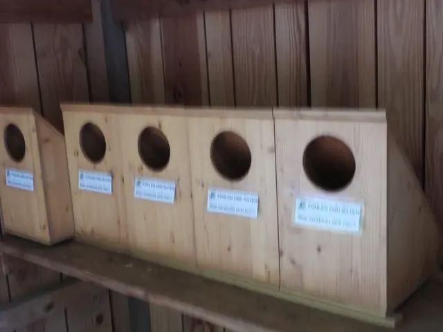 Holzwelten Pabneukirchen. Im ganzen Jahr gratis begehbar. | Foto: Zinterhof