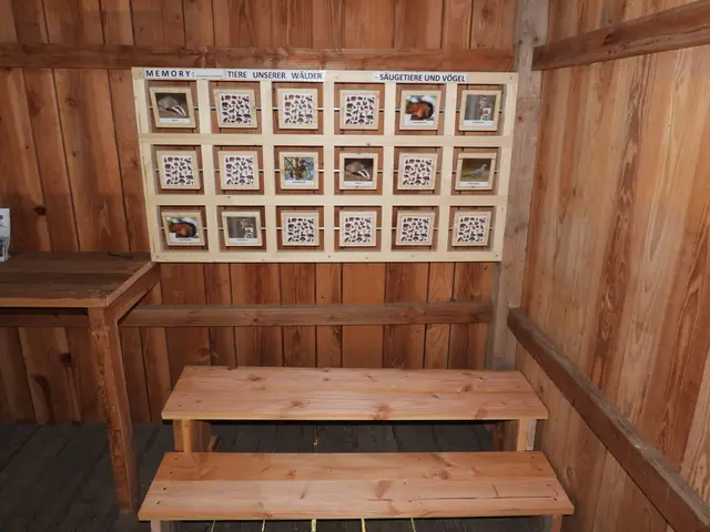 Zusammenarbeit der Holzwelten Pabneukirchen mit der Anrei-Lehrwerkstatt. | Foto: Zinterhof